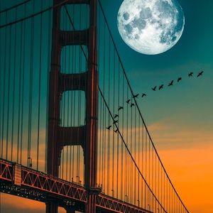 Meet your Posher, Yuli